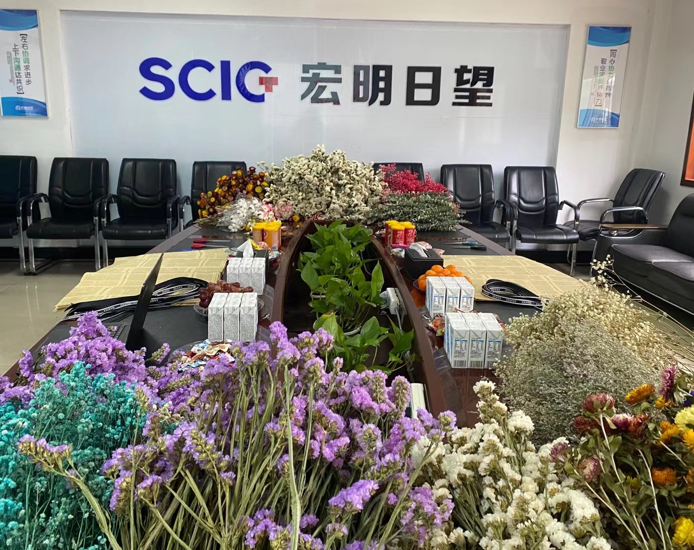 乐竞手机平台,宏明日望,株洲电子科技,湖南电容器,株洲电容器,电容器