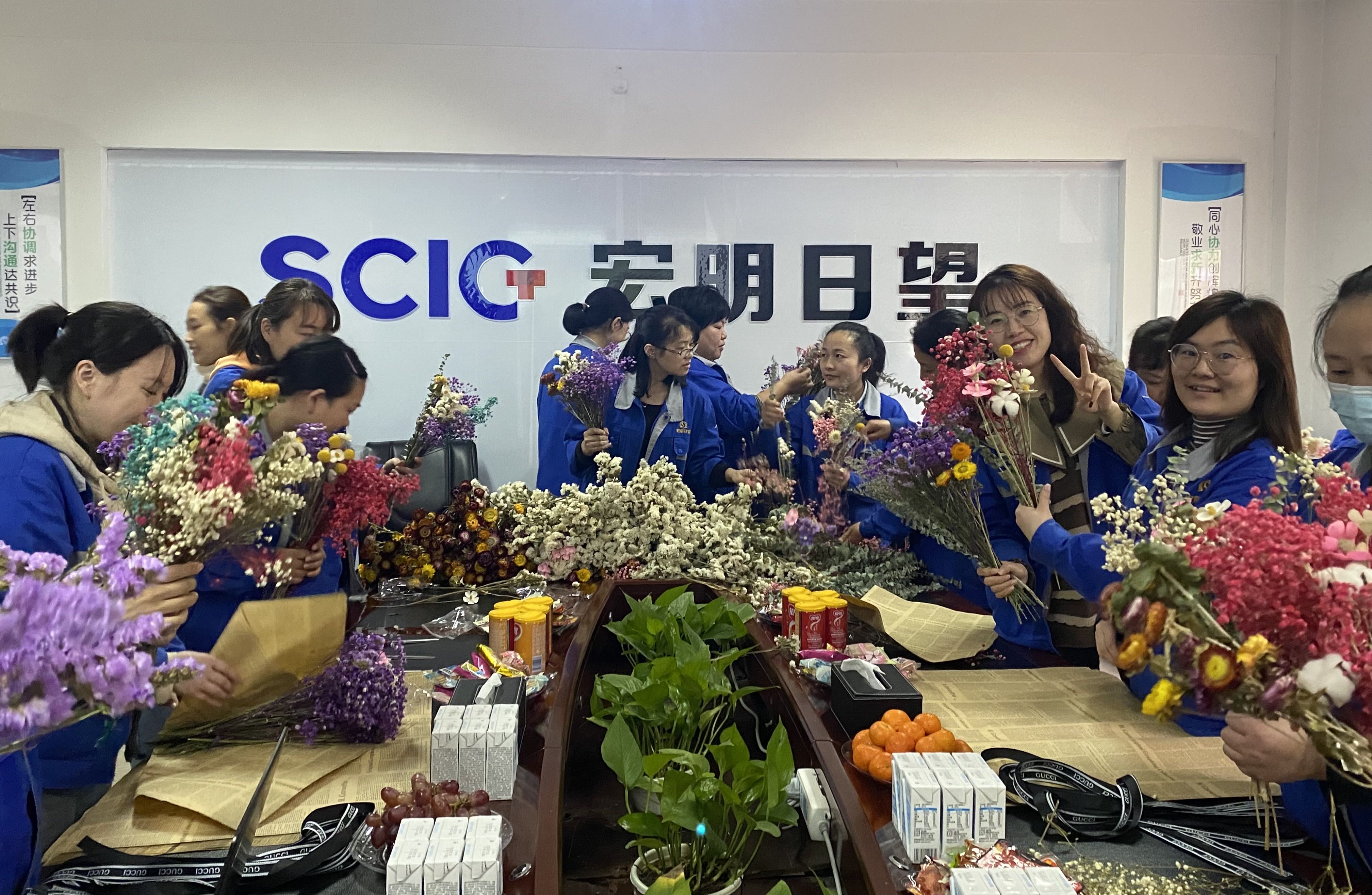 乐竞手机平台,宏明日望,株洲电子科技,湖南电容器,株洲电容器,电容器